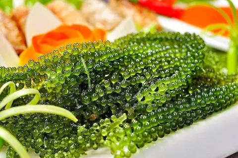 تصویر 1 از خاویار طلایی رنگ خاص الهام بخش سفره رسمی